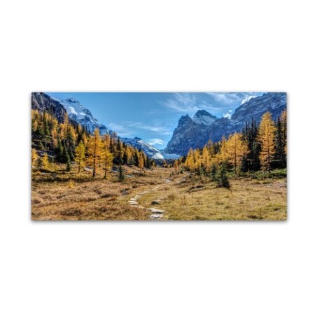 Trademark Fine Art Pierre Leclerc 'Larch Forest in Autumn' Canvas Art, 10x19 PL0313-C1019GG